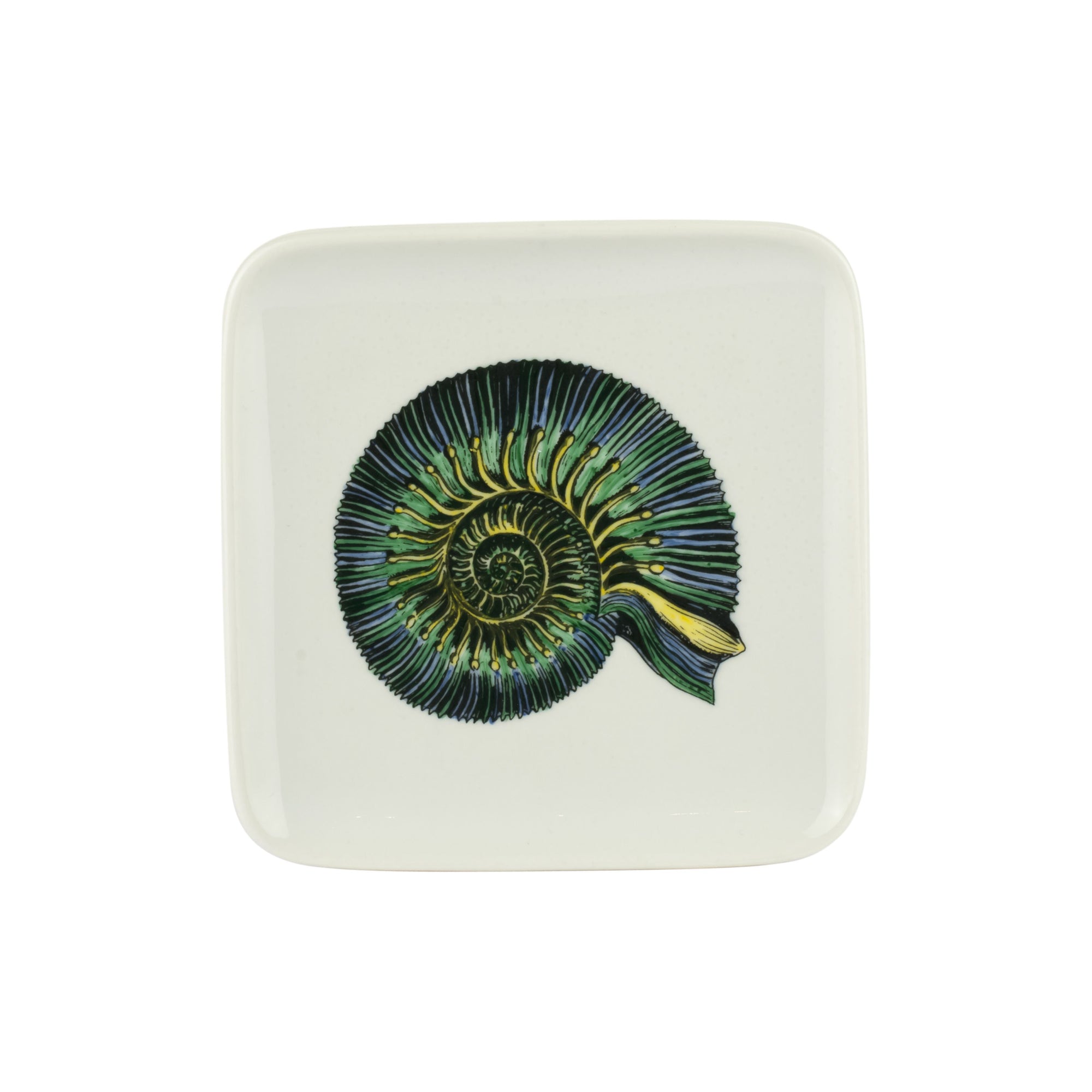Conchiglia square porcelain fossil ashtray - Green