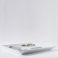 Palloni square tray n.3 in porcelain - Multicolour