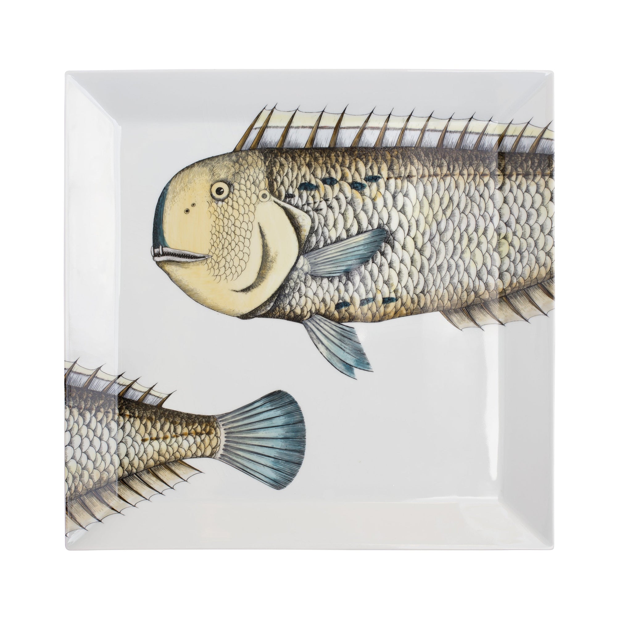 Pesce Lampuga square porcelain tray - Multicoloured