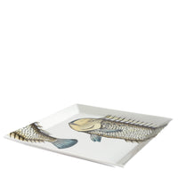 Pesce Lampuga square porcelain tray - Multicoloured
