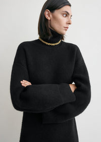 BROAD TURTLENECK DRESS
