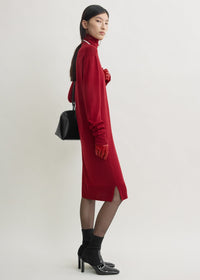 WINTER TURTLENECK DRESS