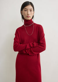 WINTER TURTLENECK DRESS