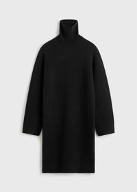 BROAD TURTLENECK DRESS