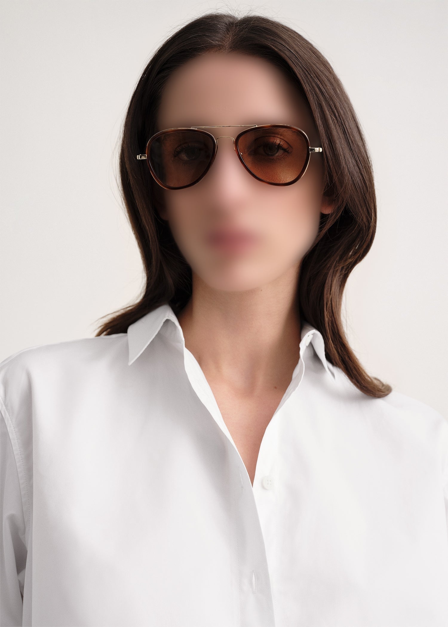 THE AVIATORS SUNGLASSES