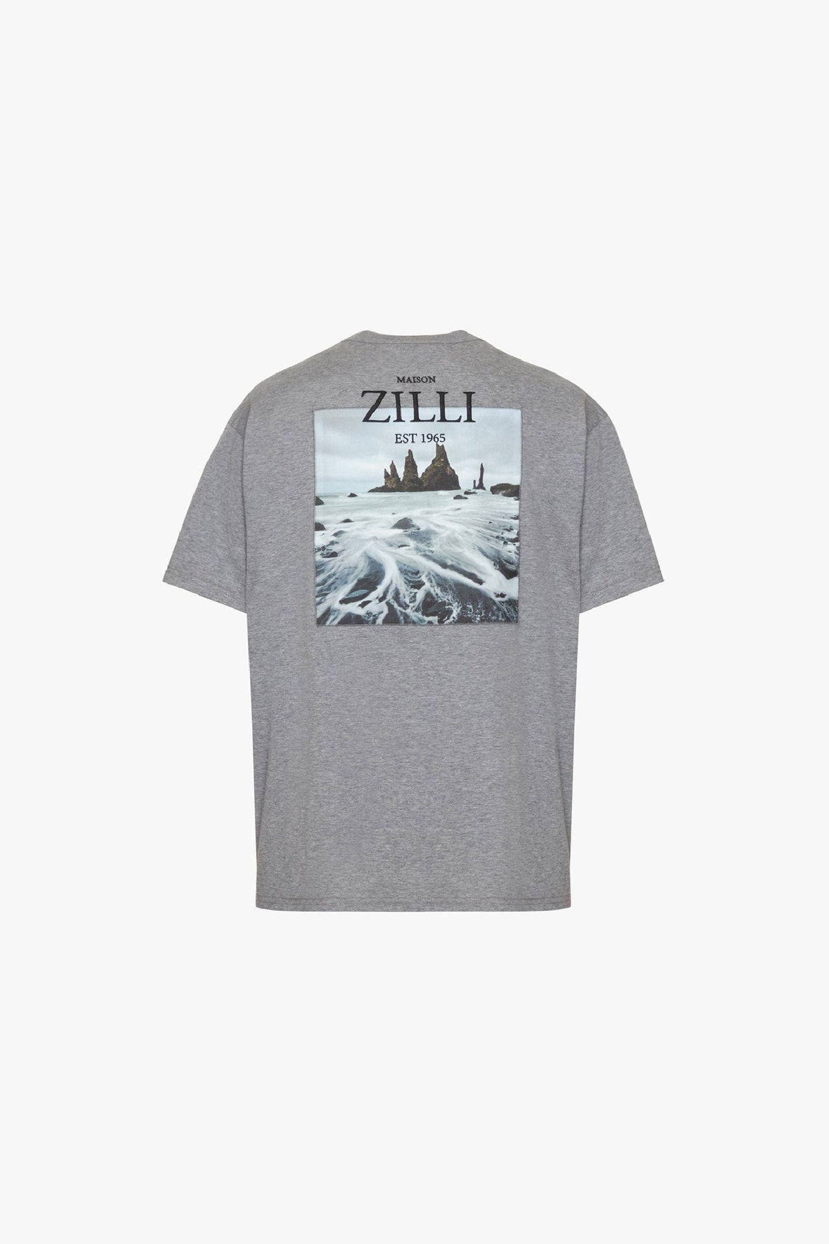 T-shirt with large landscape print - Grey