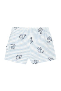 Pull - Marine motif jacquard