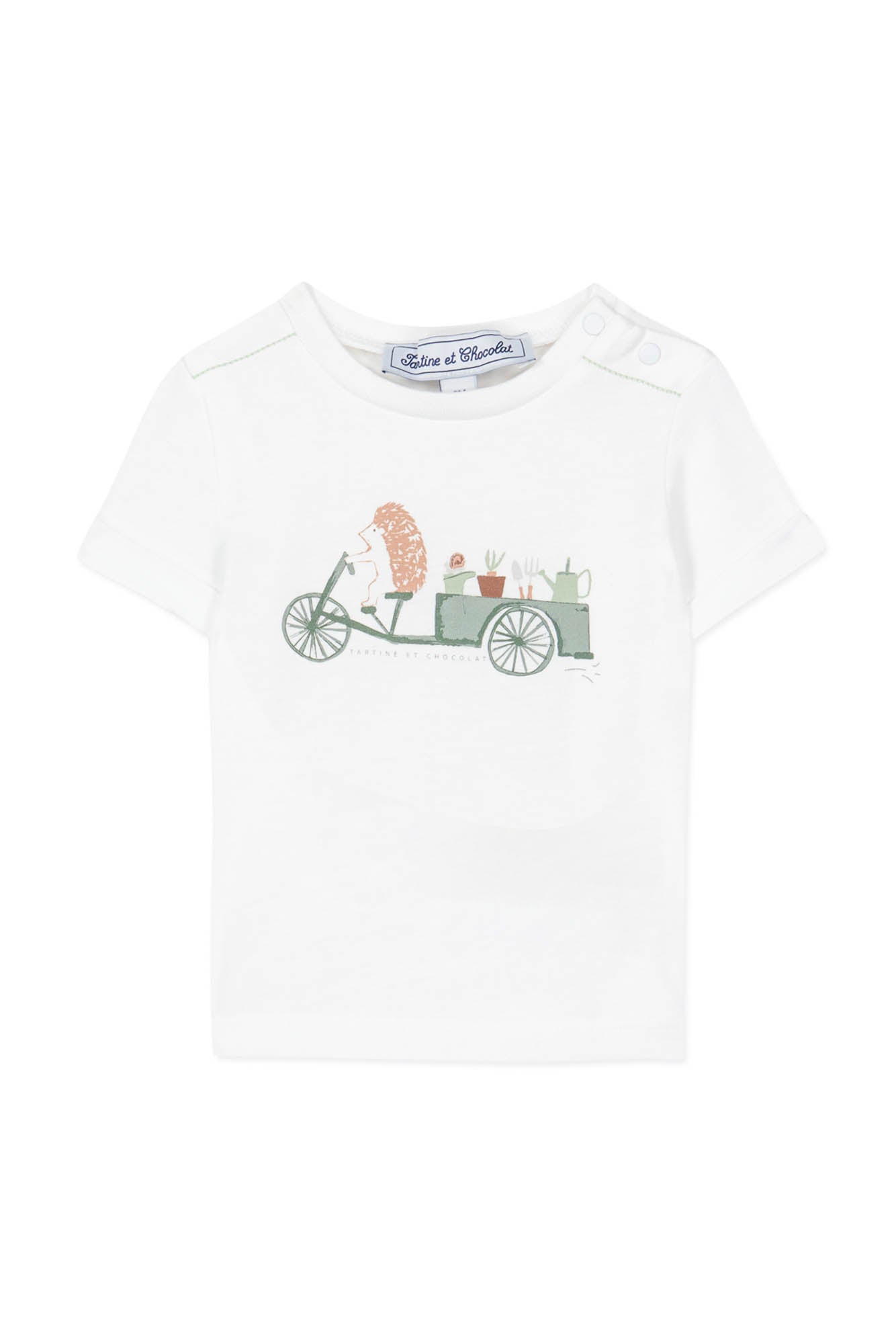 Baby Jardin Secret T-shirt - Water green