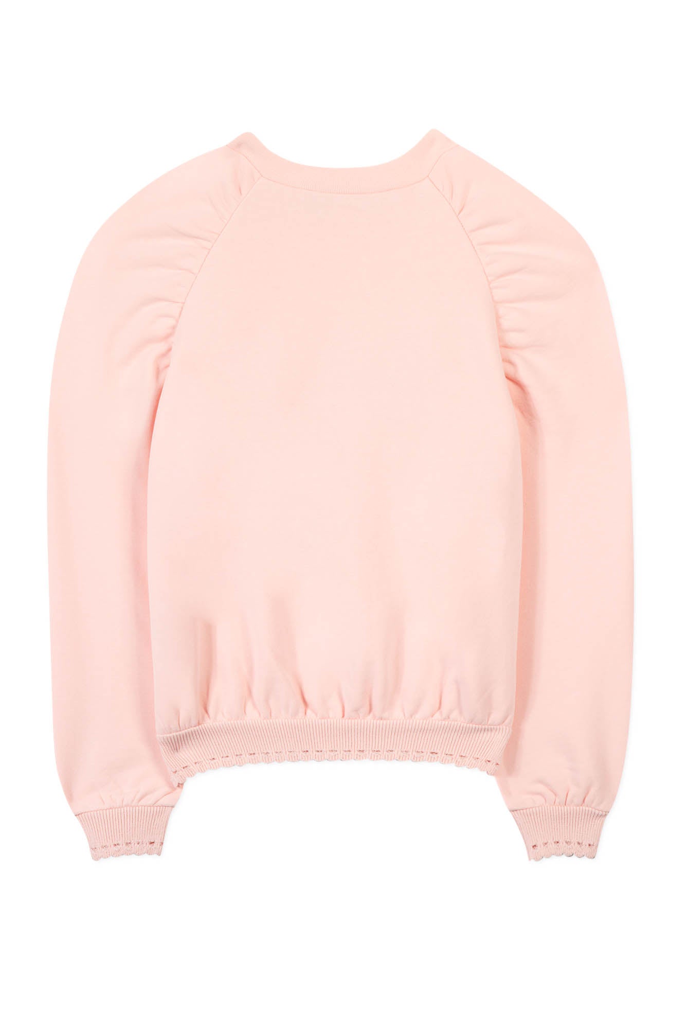 Indian summer sweatshirt - Dragée