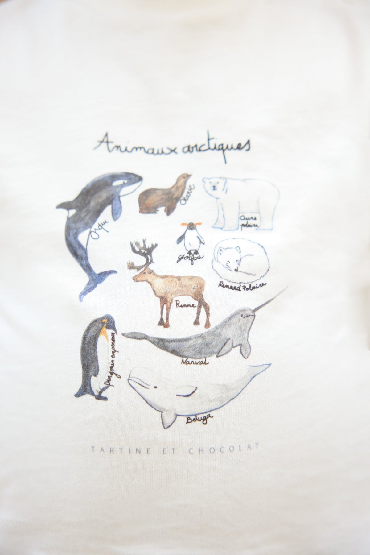 Bleu Grise / T-Shirt Baby Conquete Arctique - Bleu Grisée