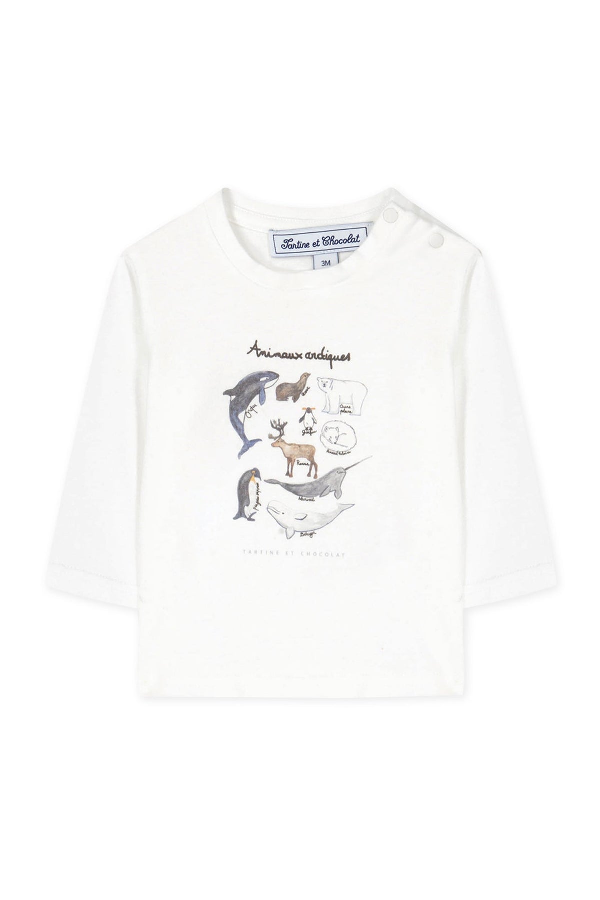 T-shirt Baby conquete arctique - Bleu Grisée