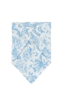 Foulard Capsule - Bleuet