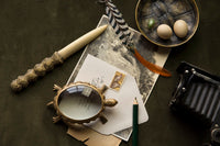 Coupe-papier Tortue en laiton - Brown & White