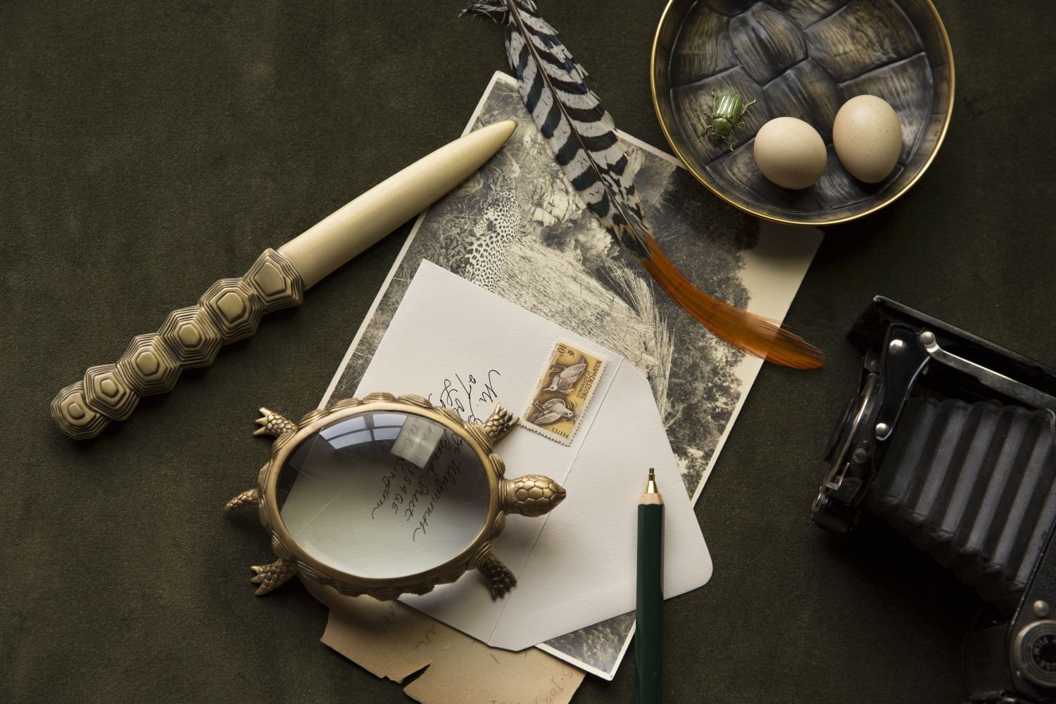 Coupe-papier Tortue en laiton - Brown & White