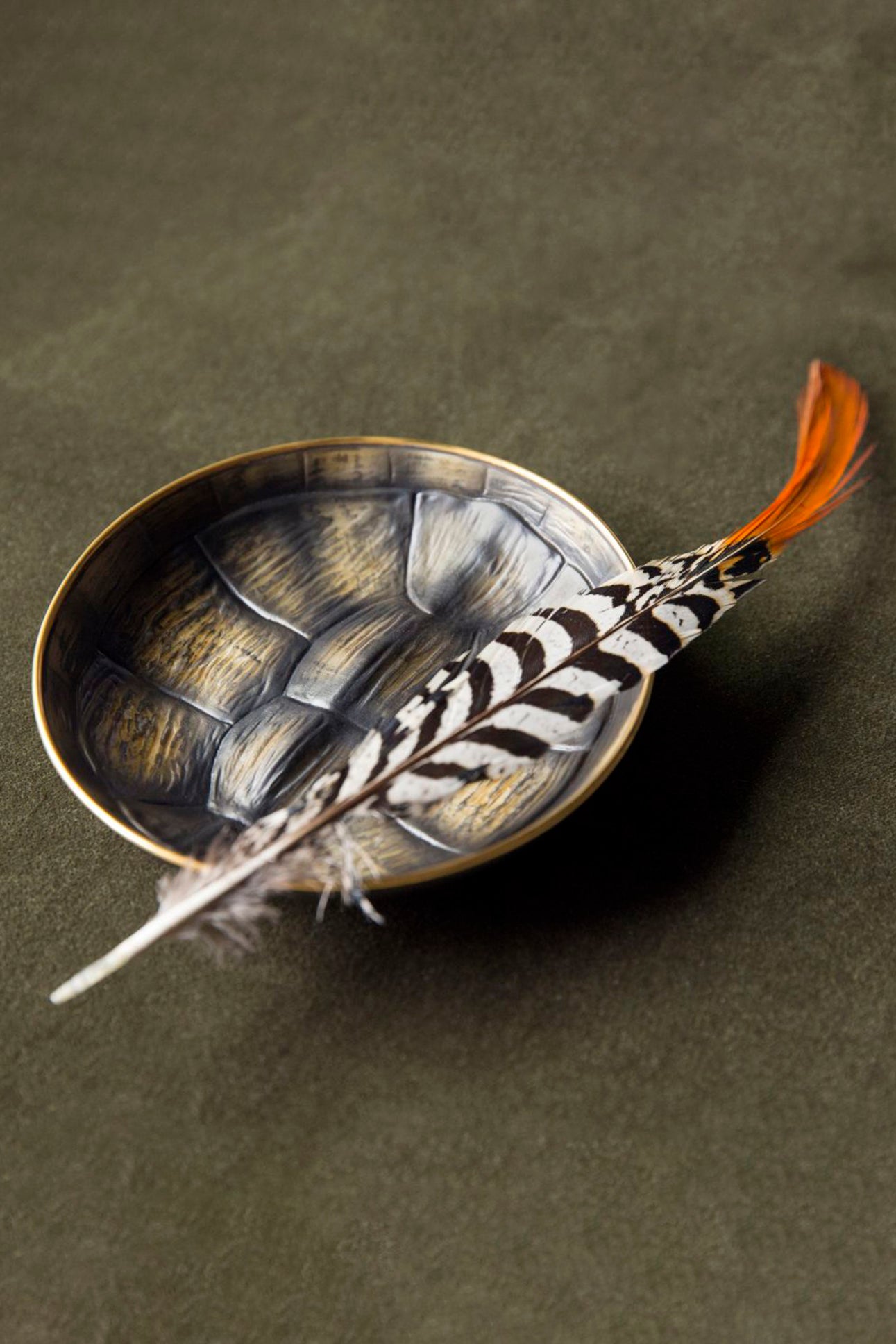Small gold and porcelain turtle dish - Brown