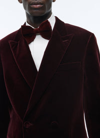 Double-breasted tuxedo jacket in velvet - Red
