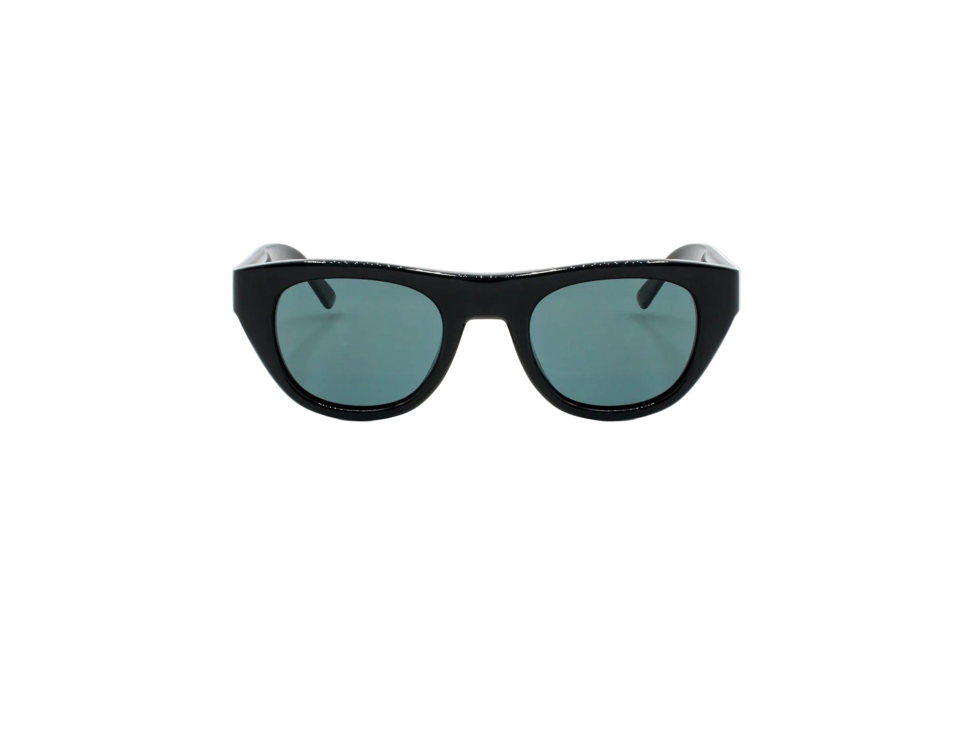 Sunglasses Belvedere 07 - Shiny Black  & Smoke Polarized