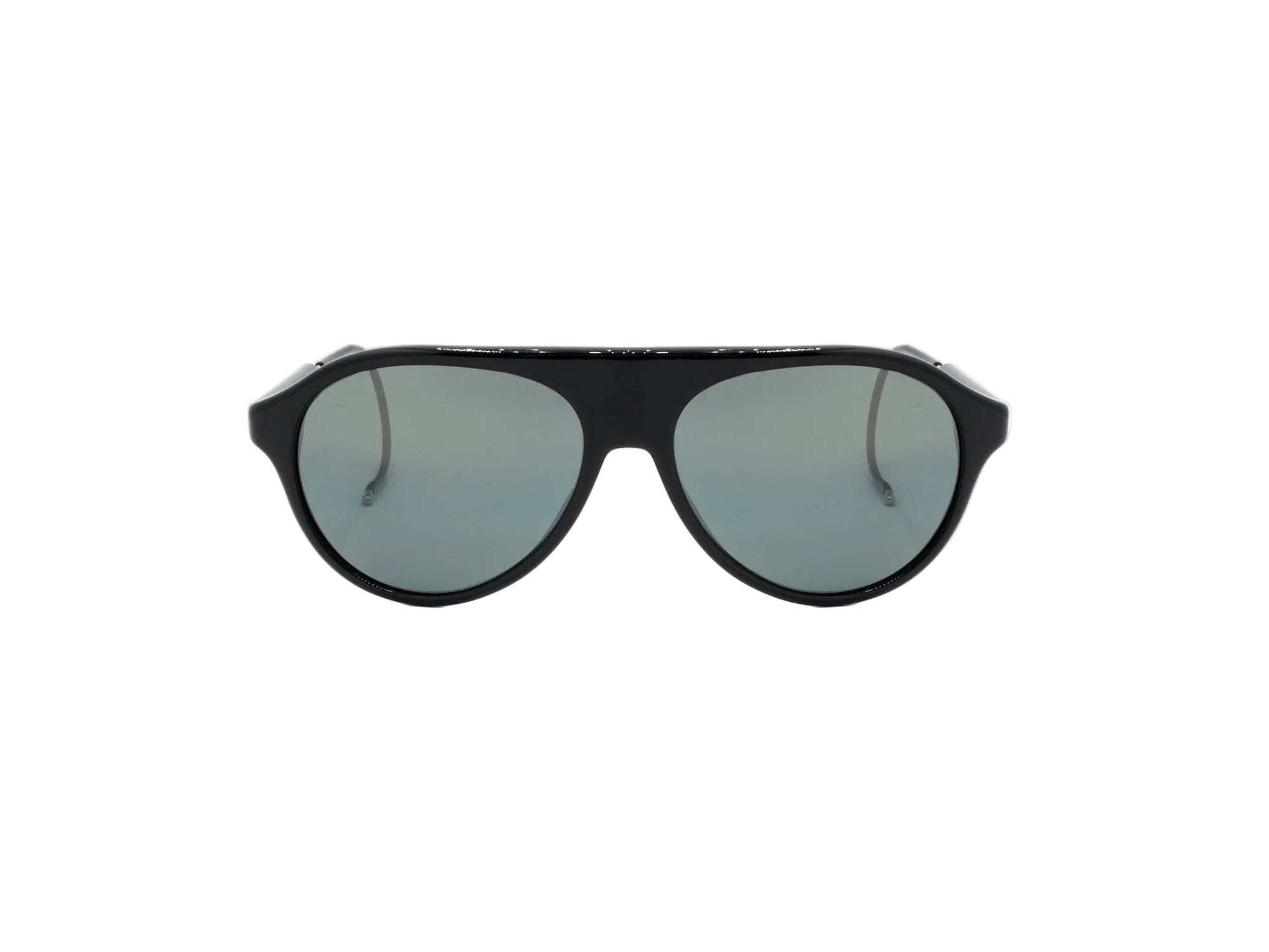 Sunglasses Alpine 02 - Shiny Black  & Smoke Polarized