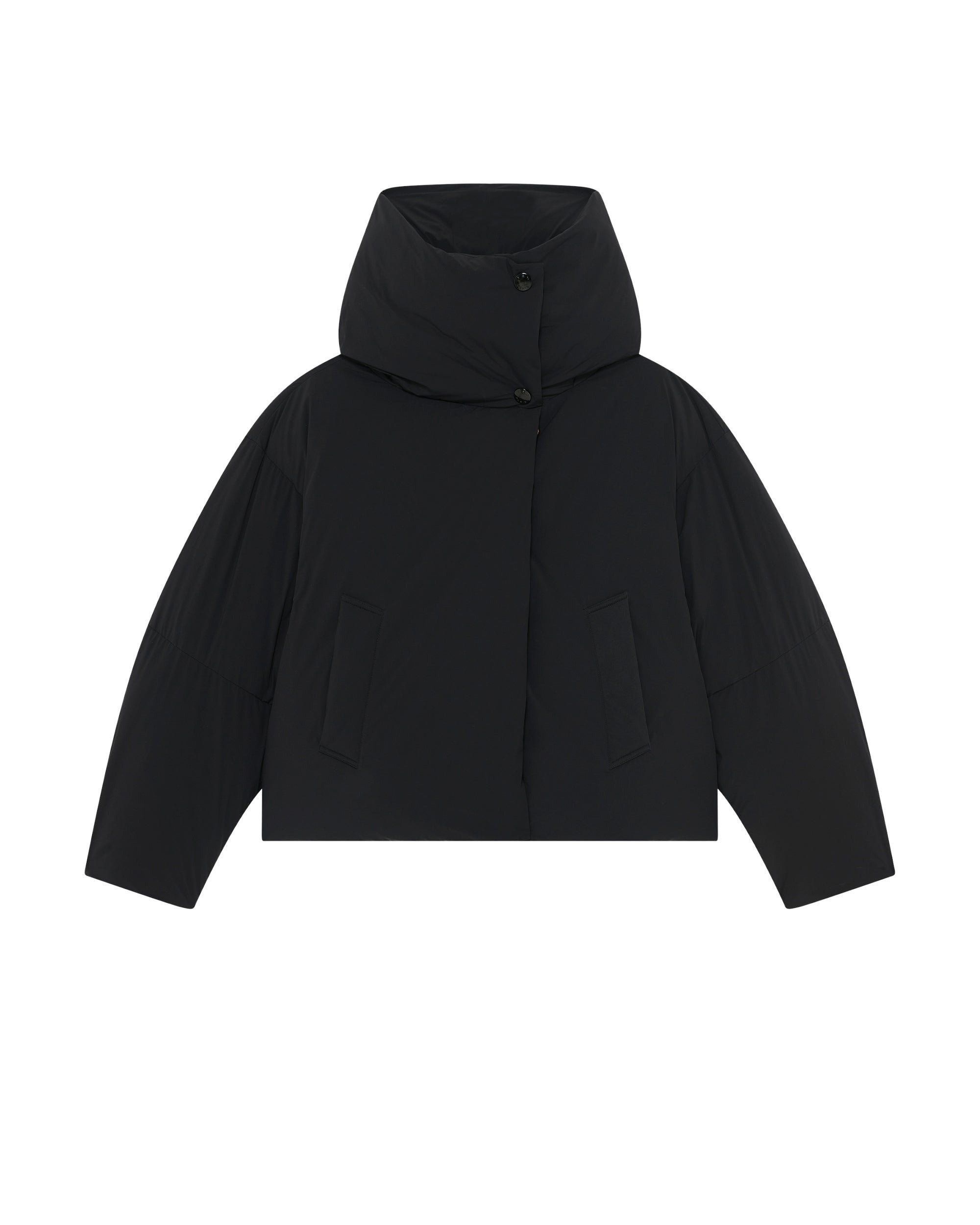 Capsule Ski Down Jacket - Black