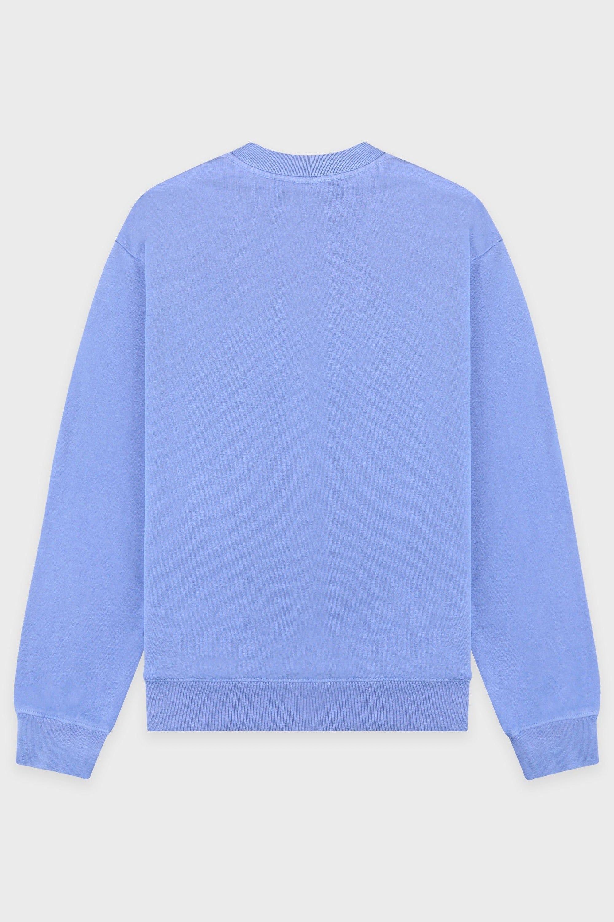 Wellness Ivy Crewneck - Flax blue
