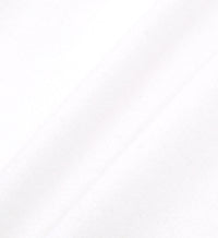 Wellness Ivy Short Sleeve Soft Crewneck - White & Verde