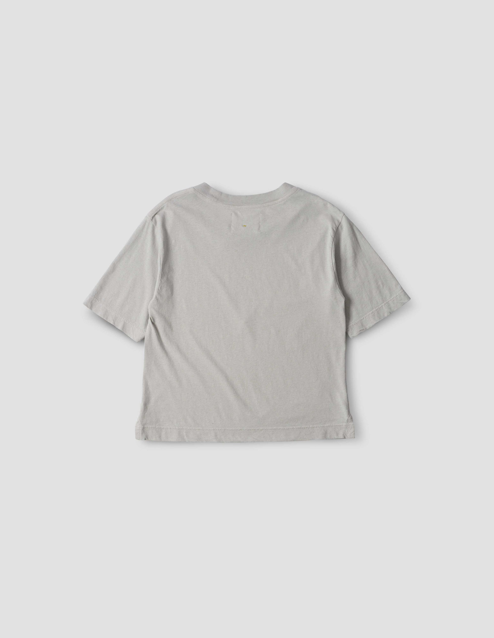 T-shirt - Gray & White & Blue