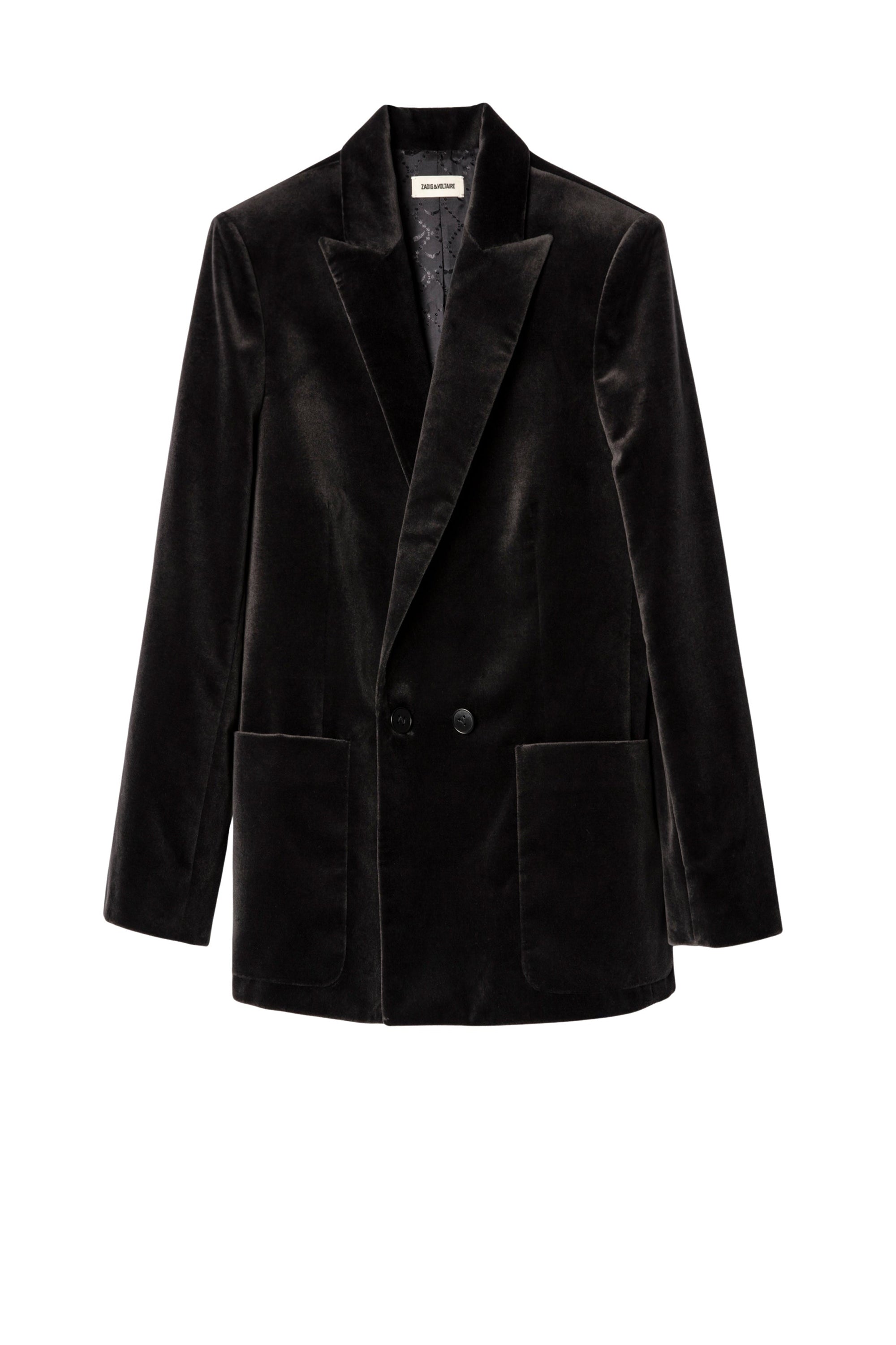 Veste Visko en velours - Gris