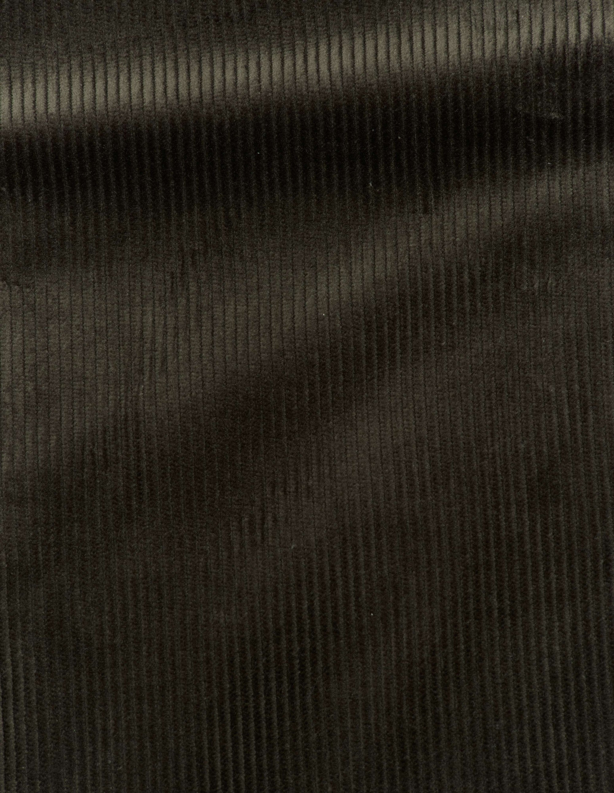 Blazer à revers en pointe - Mole