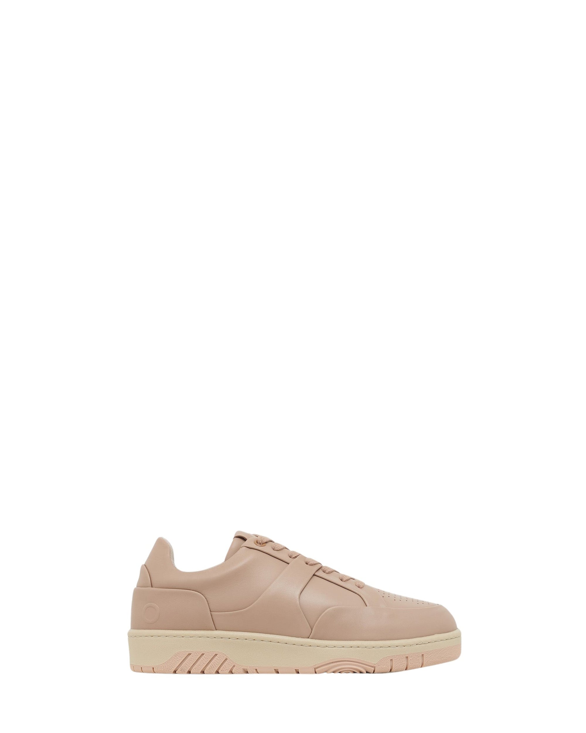 Alex leather trainers - Latte