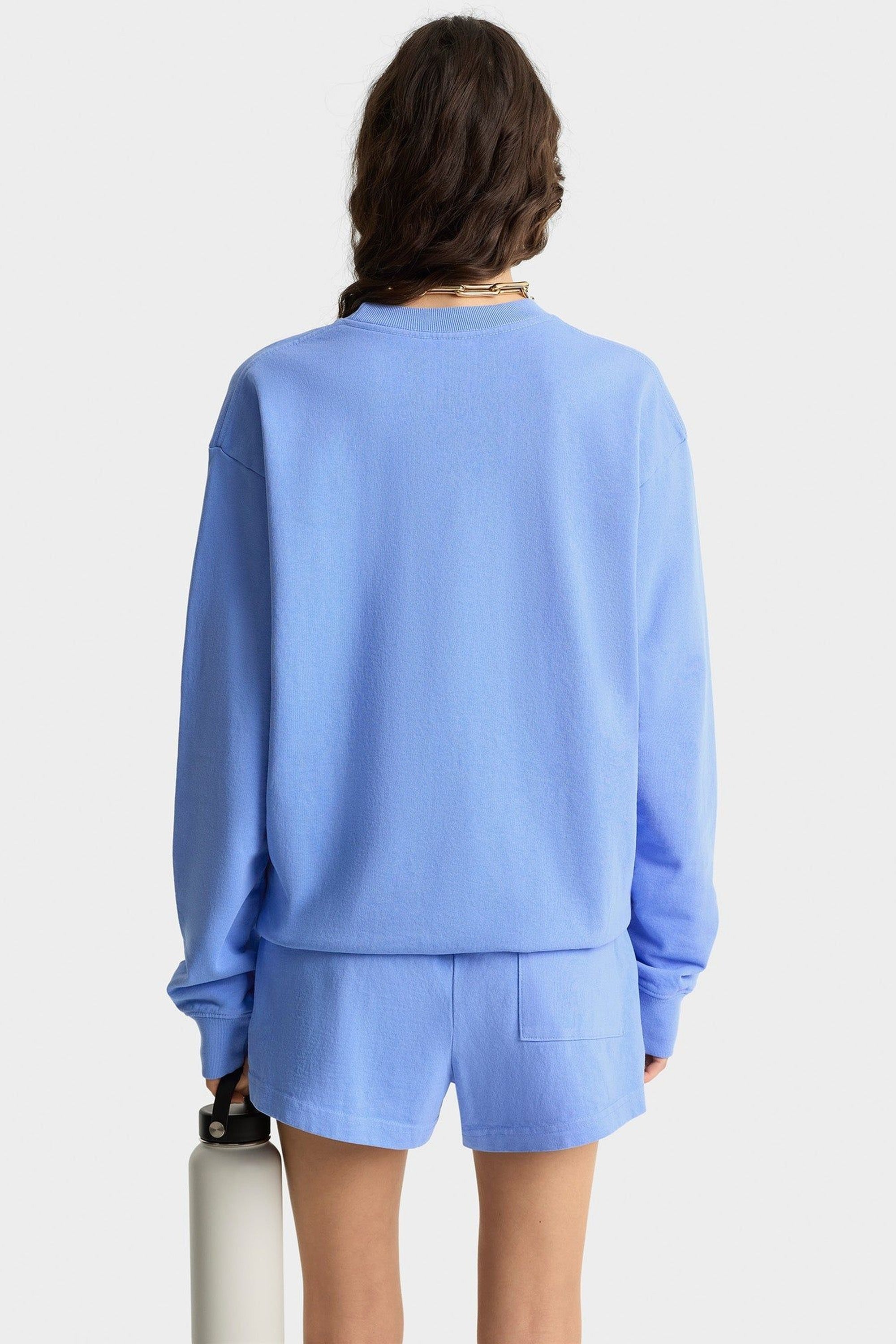 Wellness Ivy Crewneck - Flax blue