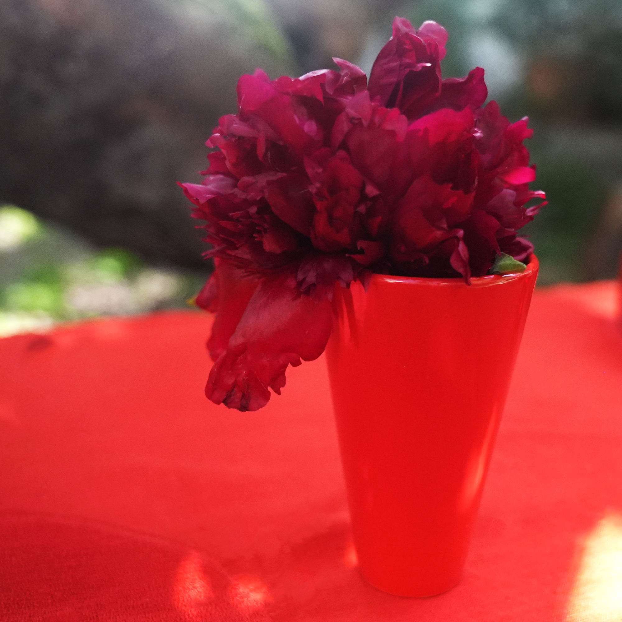 Bordeaux Vases - Bordeaux