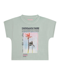 Organic cotton T-shirt - Almond gree