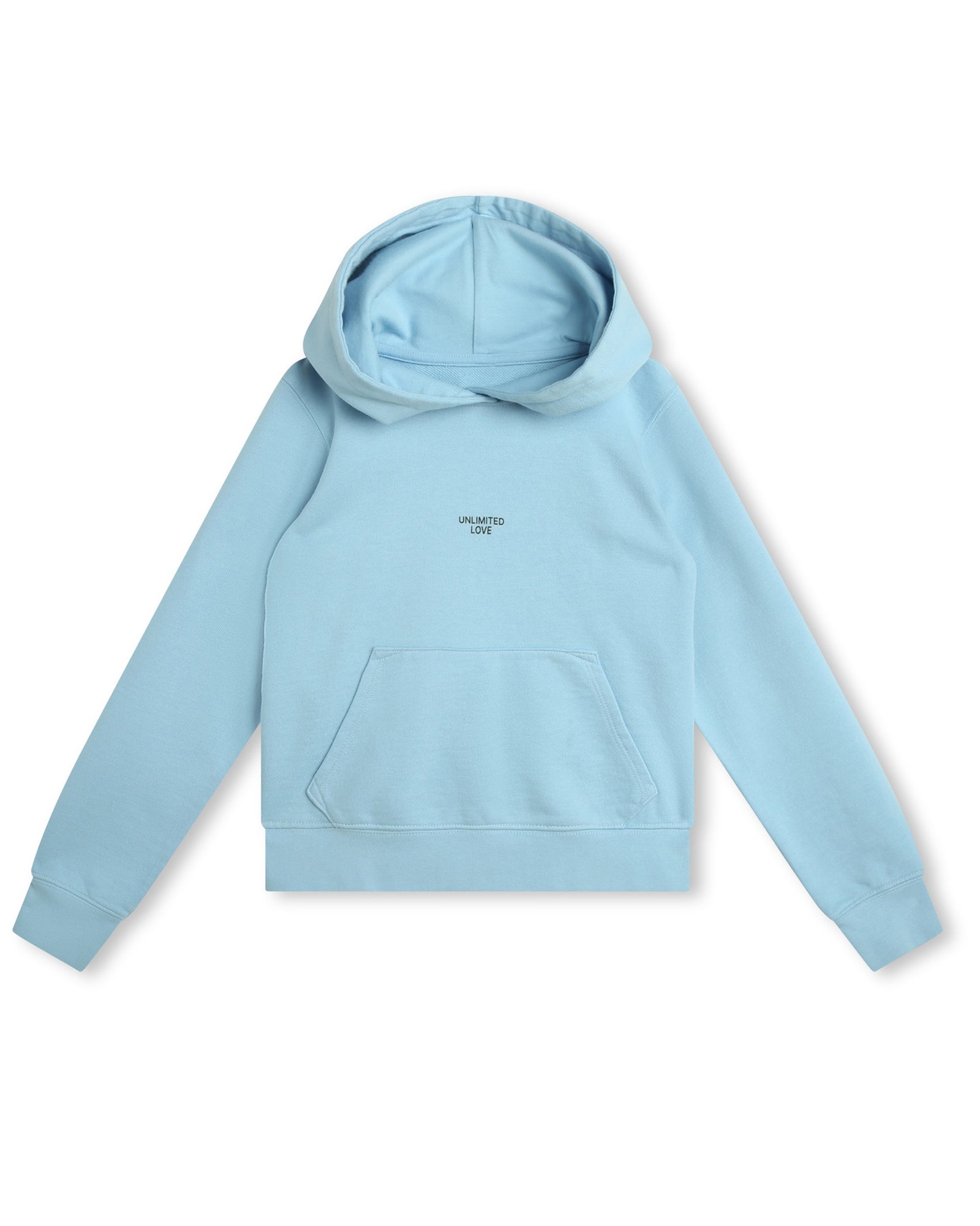 Sweatshirt à capuche - Iceberg
