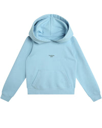 Cotton hoodie - Iceberg