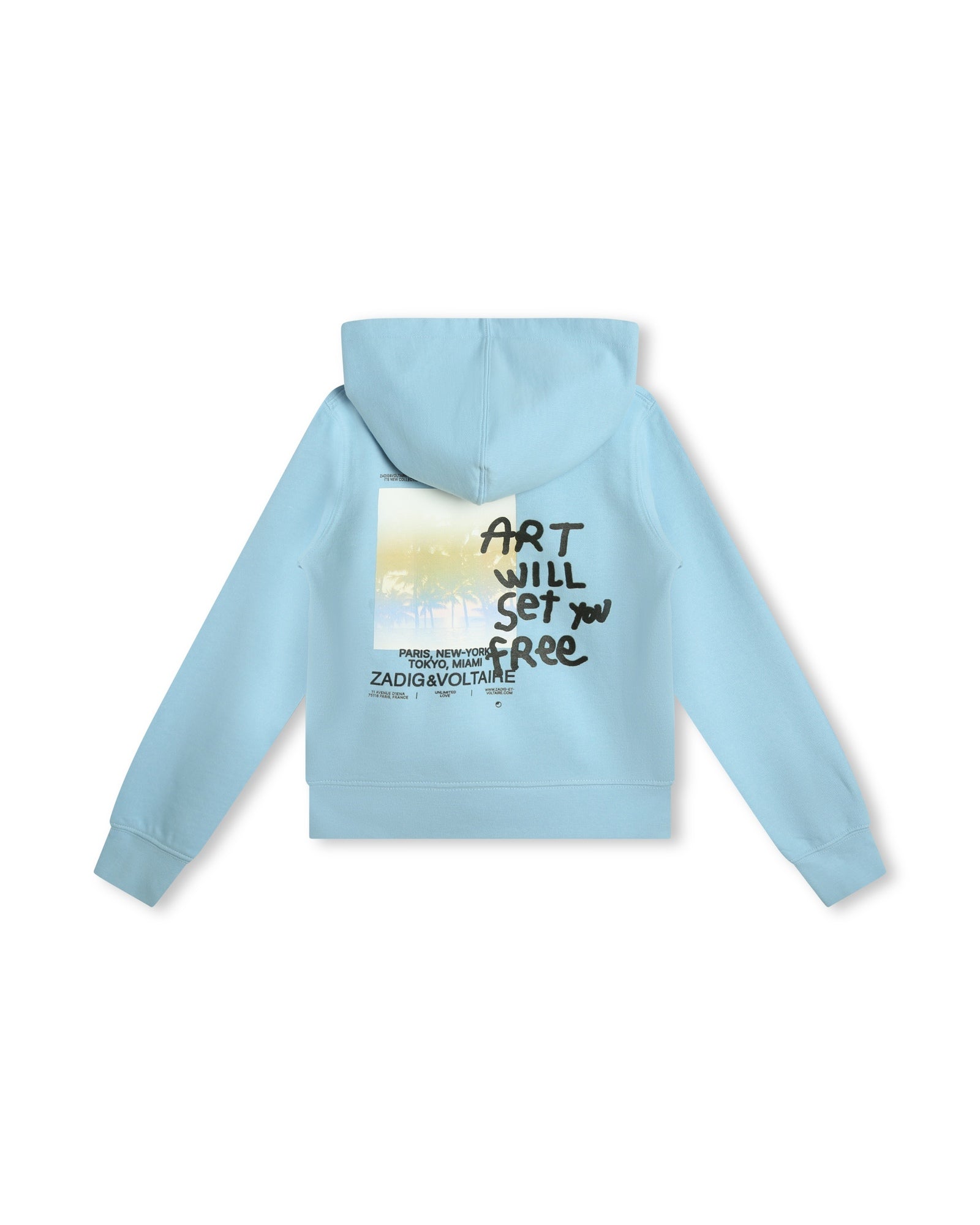 Cotton hoodie - Iceberg