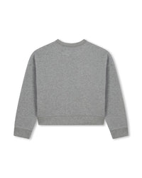 Sweatshirt fantaisie en molleton - Gris Chiné