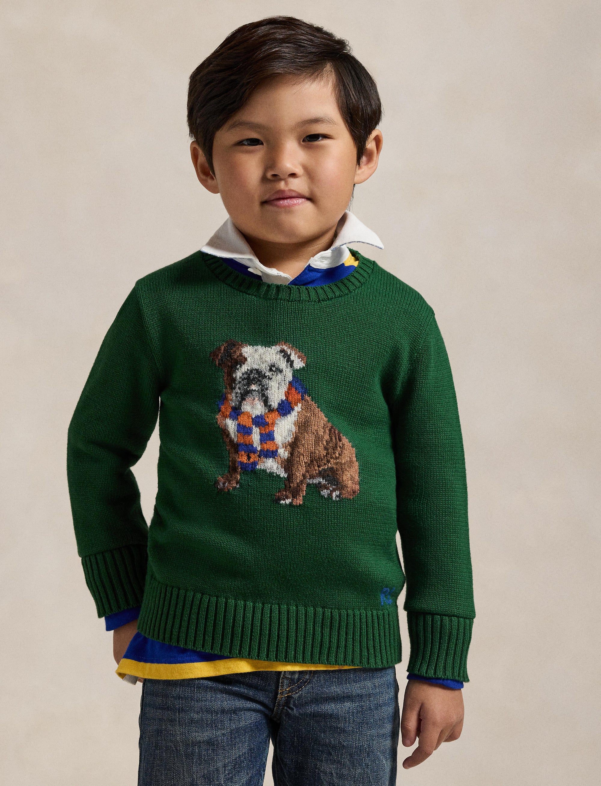 Pull motif chien en tricot intarsia - New Forest