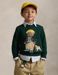 Pull Polo Bear - Moss Agate