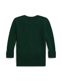 Pull Polo Bear - Moss Agate