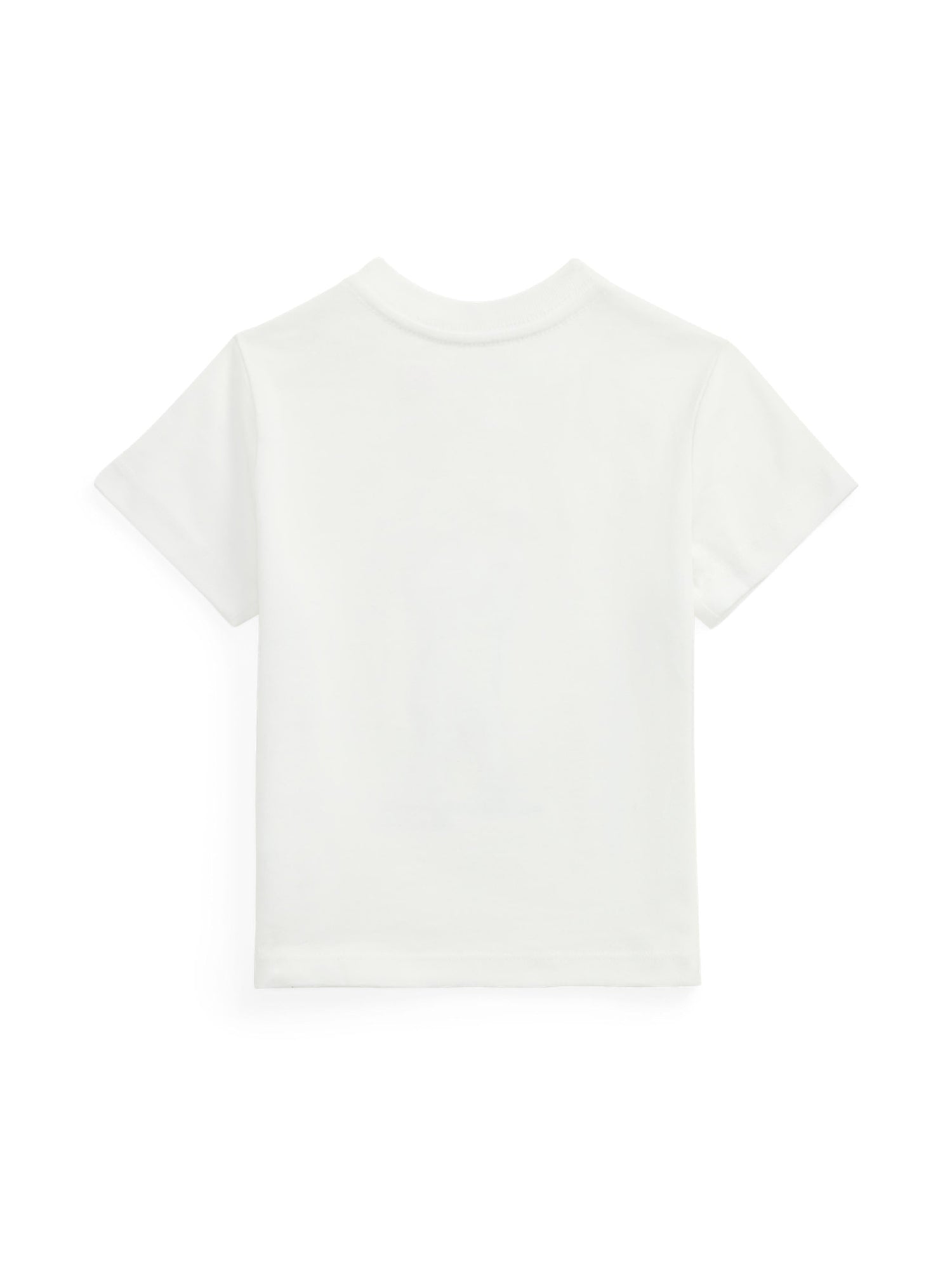 T-shirt manches courtes - White Hyannis Bear