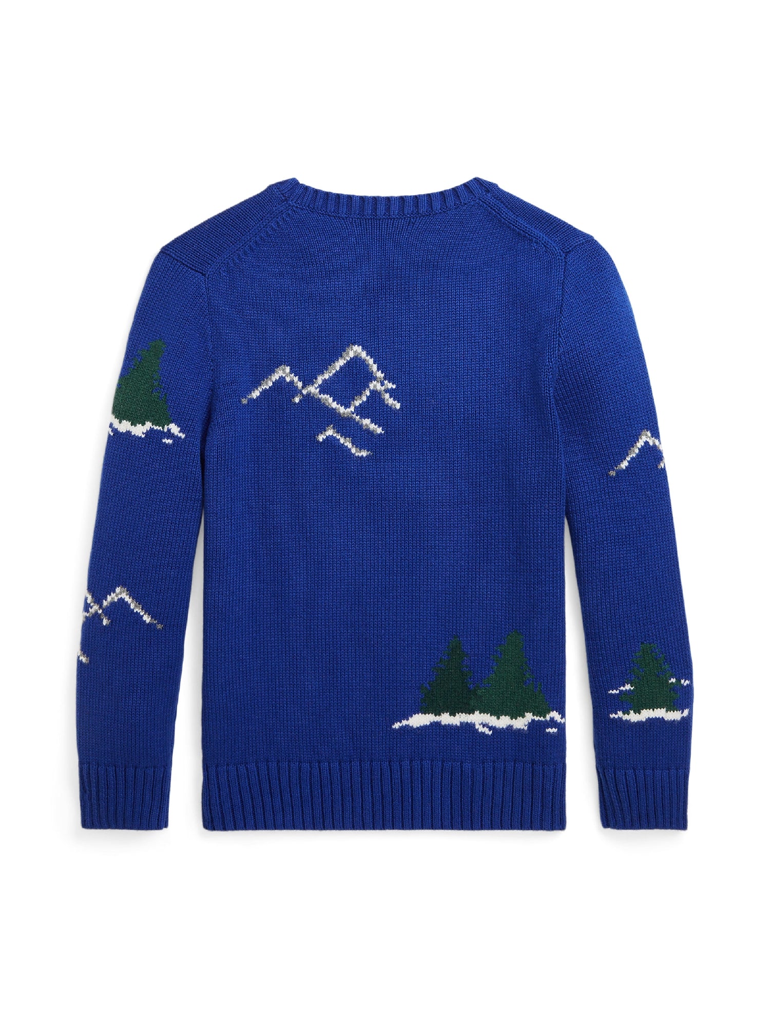 Pull famille Polo Bear - Bear Heritage Royal