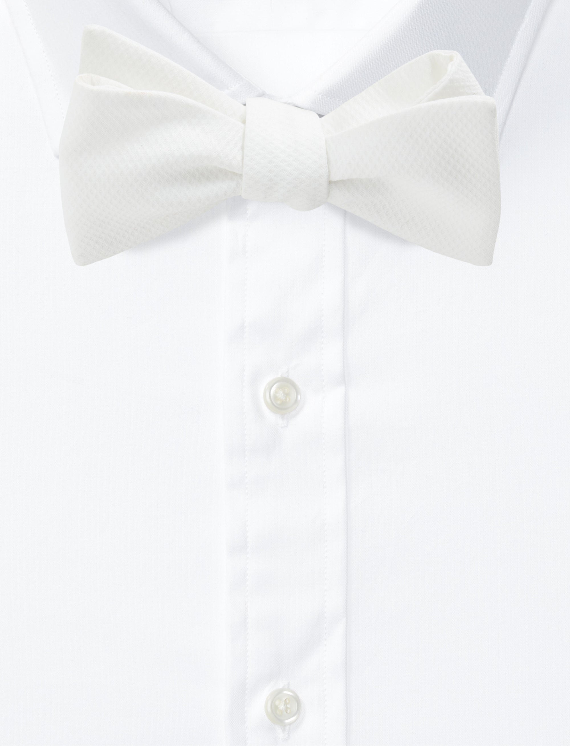 Noeud papillon en coton piqué - White