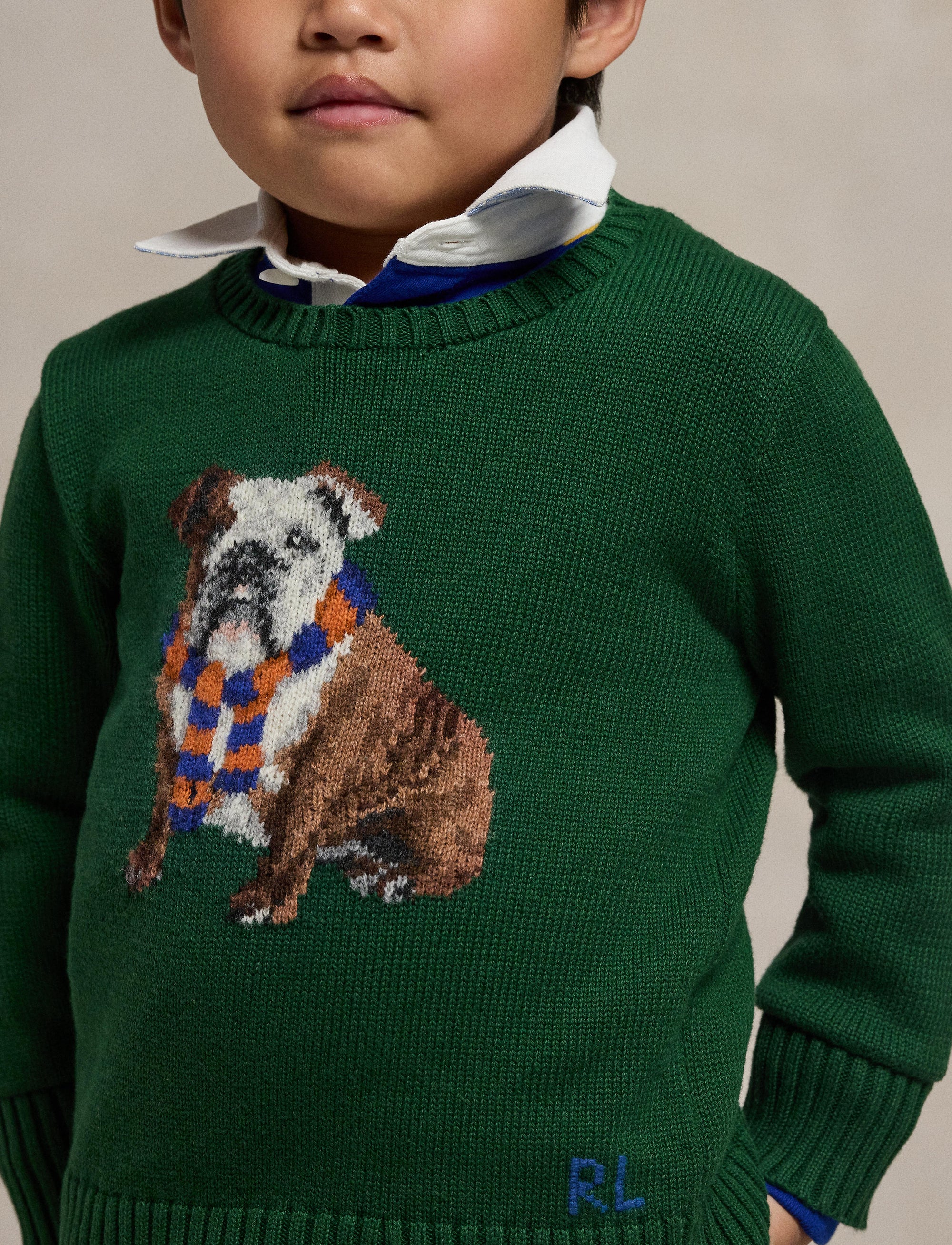 Pull motif chien en tricot intarsia - New Forest