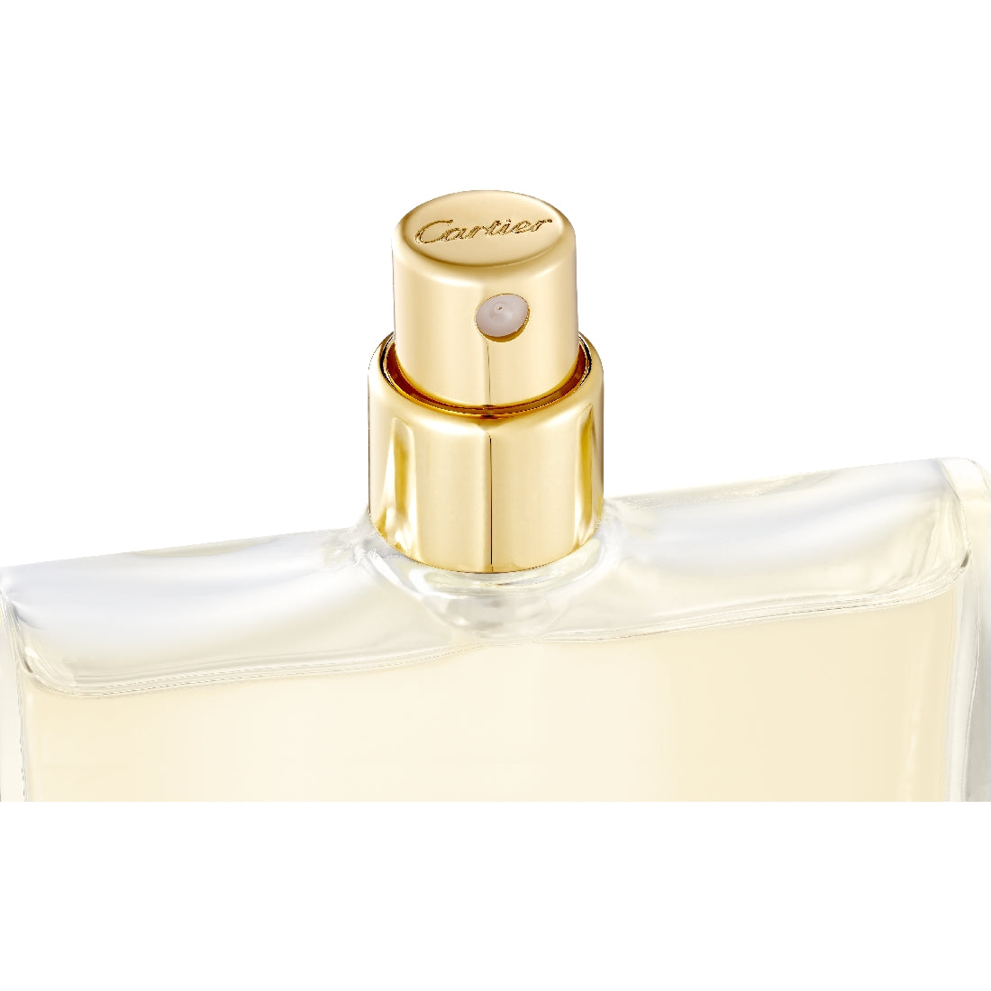 Recharges Oud & Musc