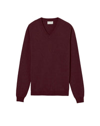 Pull V ajusté en cachemire - Dahlia
