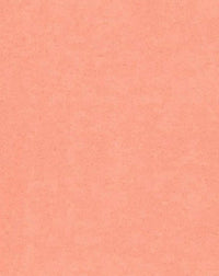 Classic cashmere V-neck jumper - Melon