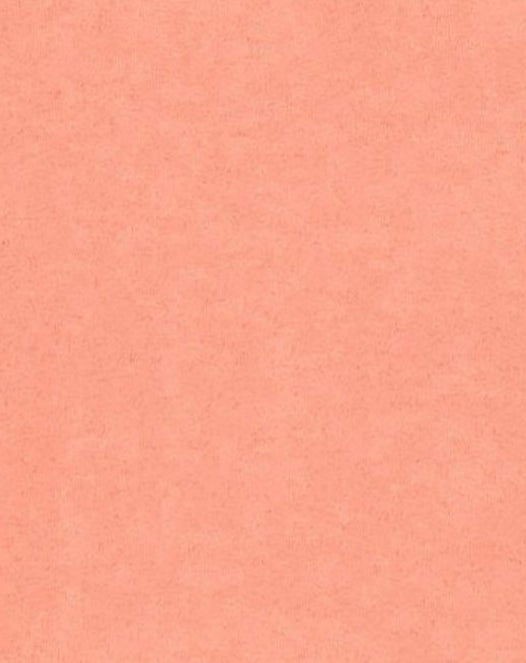 Classic cashmere V-neck jumper - Melon