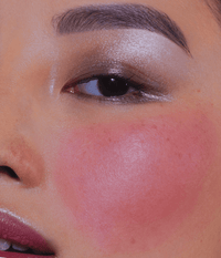 Le blush stick - Neon Rose