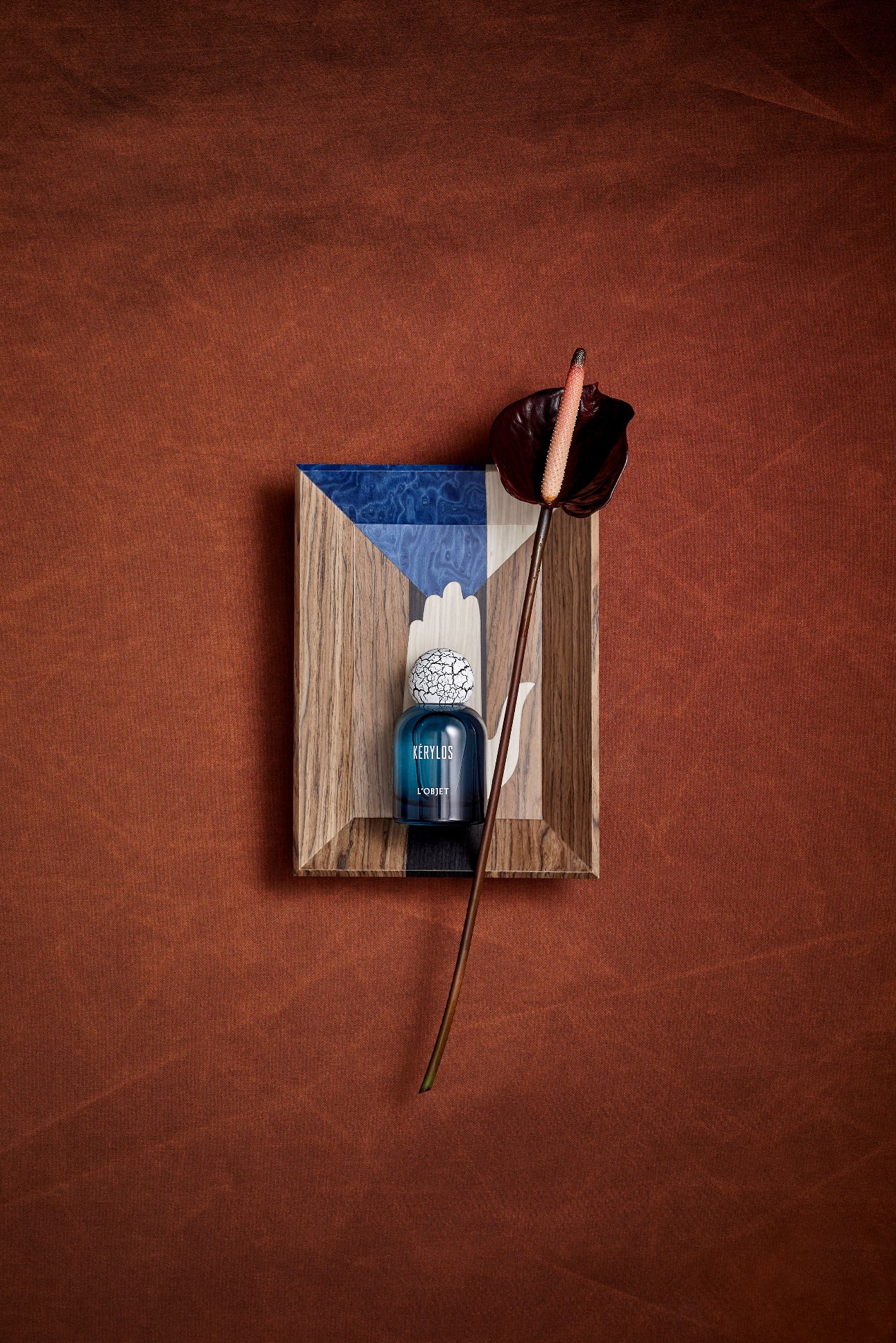 Vide poche Edgar en bois - Marron & Bleu