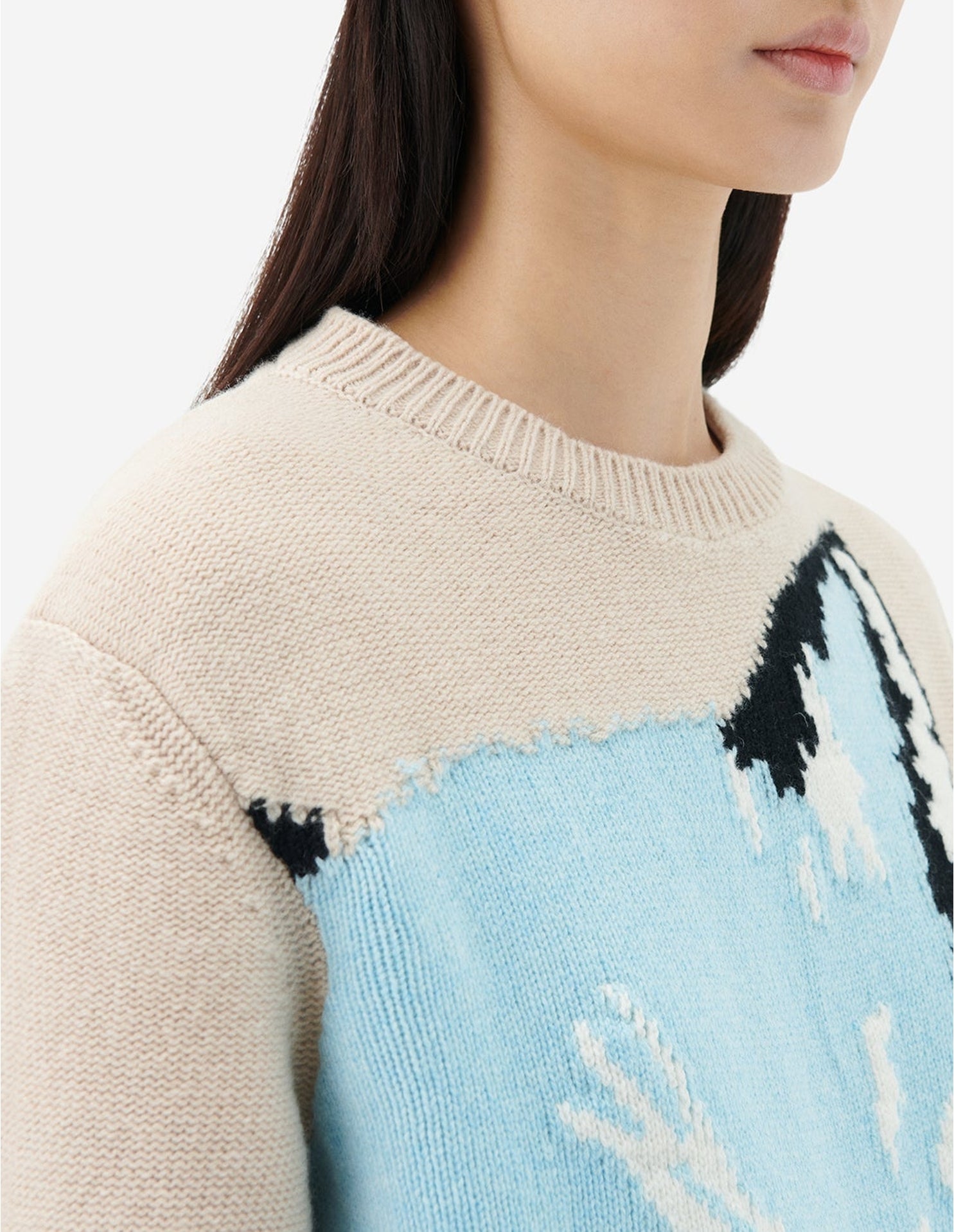Pull jacquard à manches longues en laine - Beige